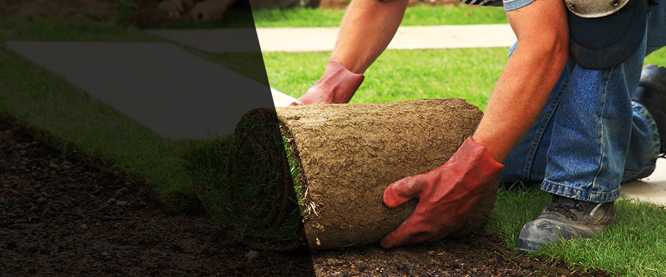 Macungie Landscapers